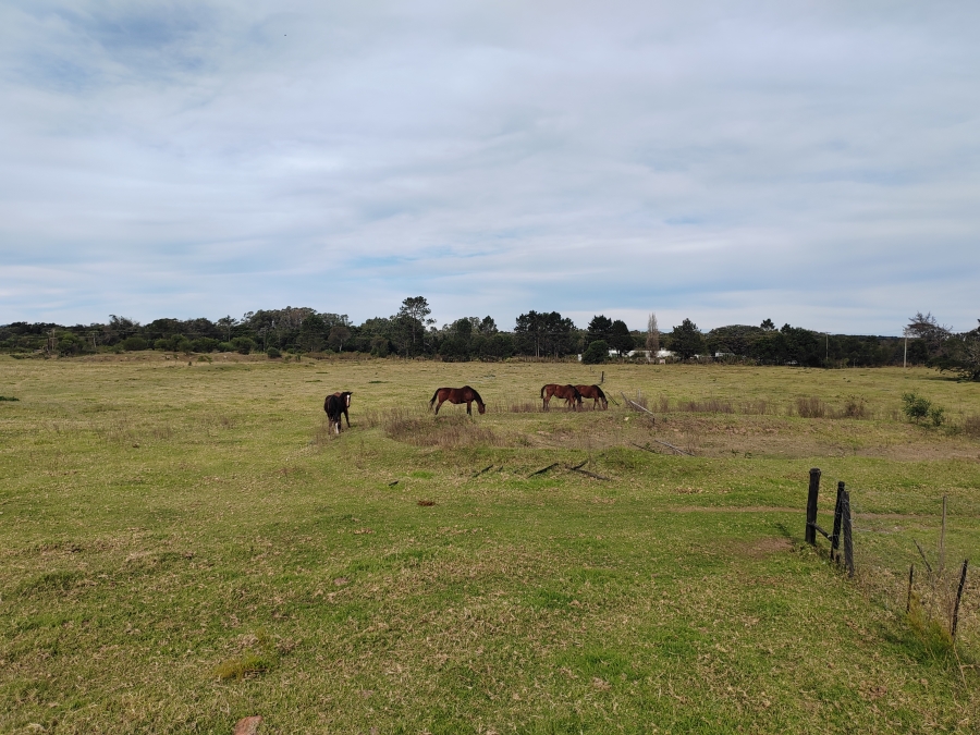 4 Bedroom Property for Sale in Gedults River Eastern Cape